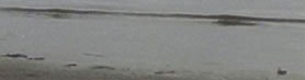 Lebensfreude wie sand am meer