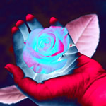 =Blue Rose in Red Hand= © kenneth-edward swinscoe-de/uk___www.k-e-s-art.de/